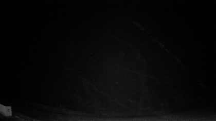 2025-08-04