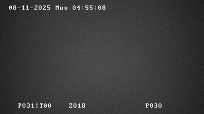 2025-08-11