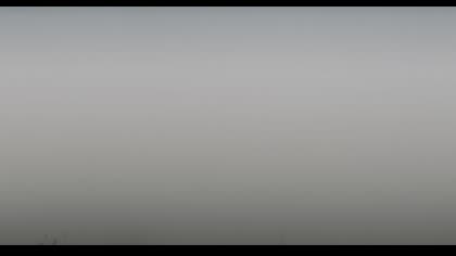 2025-08-03