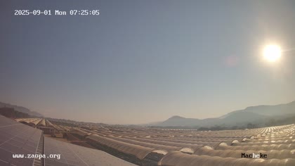 2025-09-01