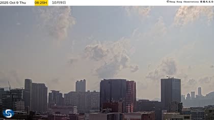 2025-10-09