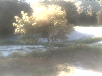 2025-08-05