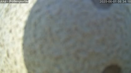 2025-06-01