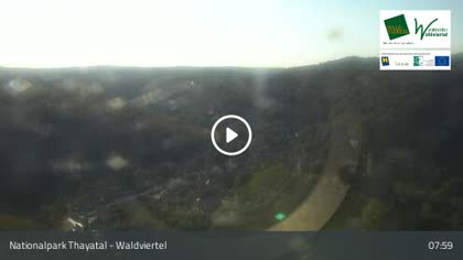 2026-08-09