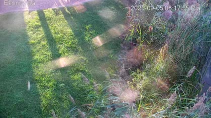 2025-09-05