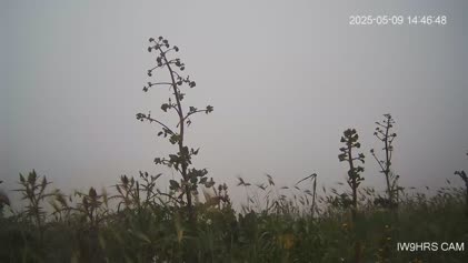 2025-05-10