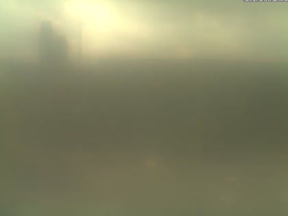 2025-07-30