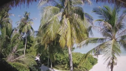 2026-07-18