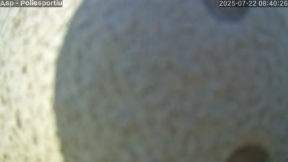2025-07-22