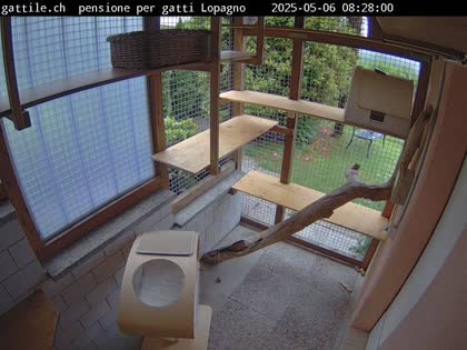 2025-05-06