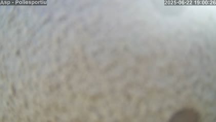 2025-06-22