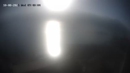 2025-10-08