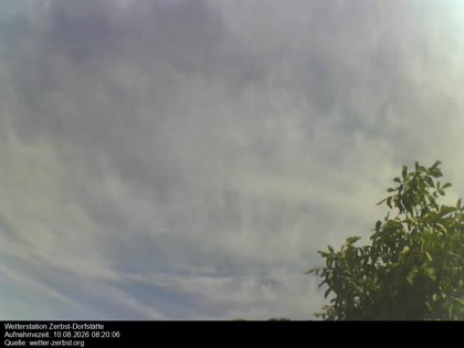 2026-08-10