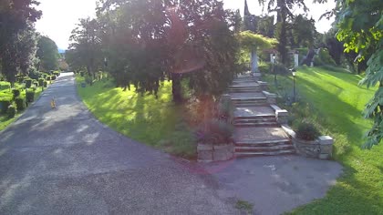 2026-06-06