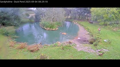 2025-09-04