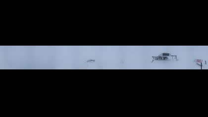 2026-05-12