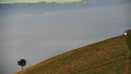 2025-10-08