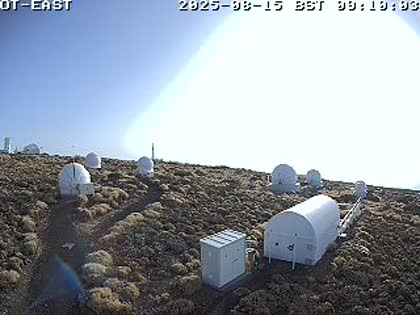2025-08-15