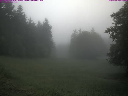 2026-06-12