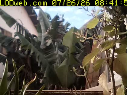 2026-07-26
