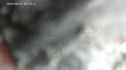 2025-08-31