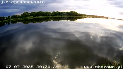 2025-07-07