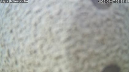 2025-09-07