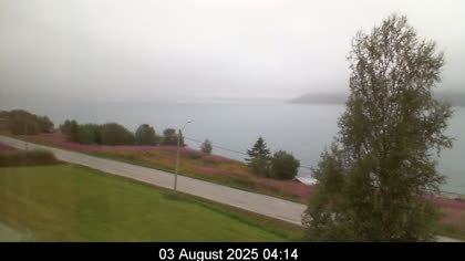 2025-08-03