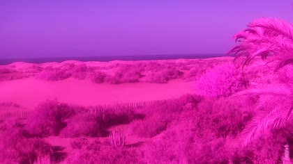 2026-08-30