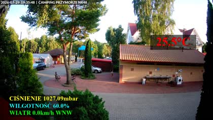 2026-07-29