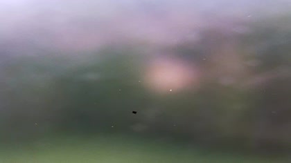 2026-05-11
