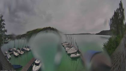 2026-06-12
