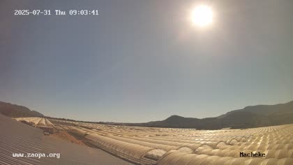 2025-07-31