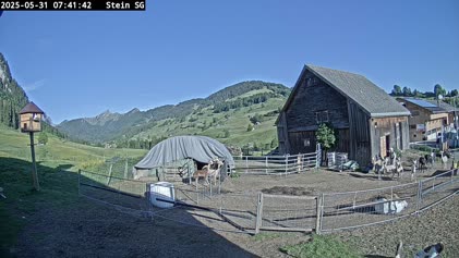 2025-05-31