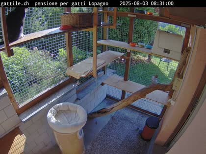 2025-08-03