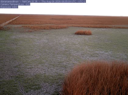 2026-08-06