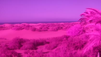 2026-08-24