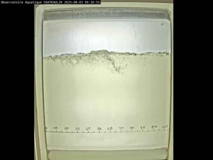 2025-08-03