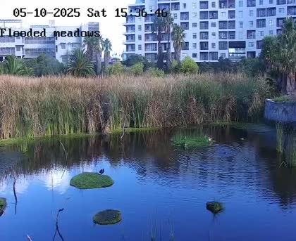 2025-05-11
