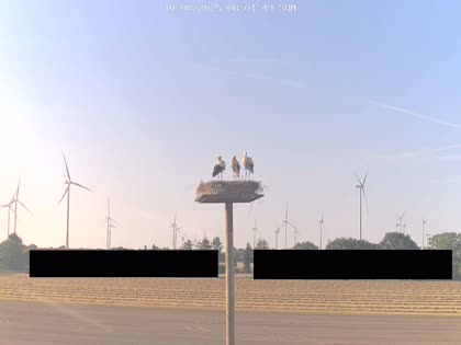 2025-08-10