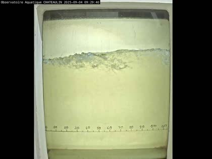 2025-09-04