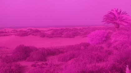 2025-08-12