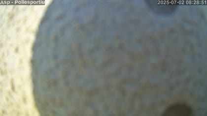 2025-07-02