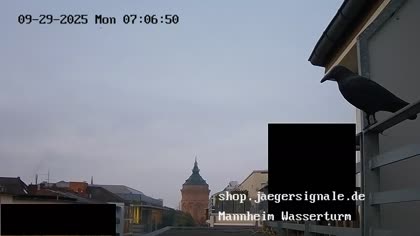 2025-09-29
