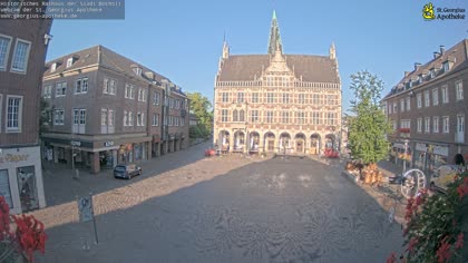 2025-08-11