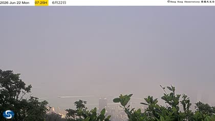 2026-06-22