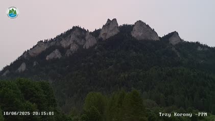 2025-06-10