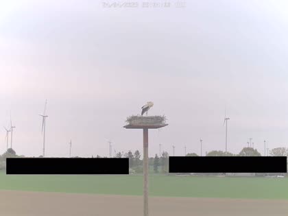 2025-04-24