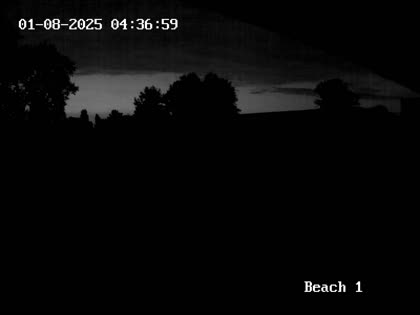 2025-08-01