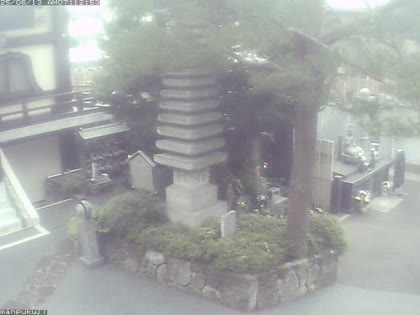 2025-06-12